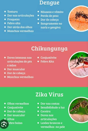 Dedetização/Controle de pragas Magno Ribeira do Pombal-BA.