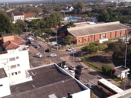 Detetizacão Insetsinos Controle de Pragas e Serviços