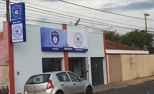 Dedetinseto