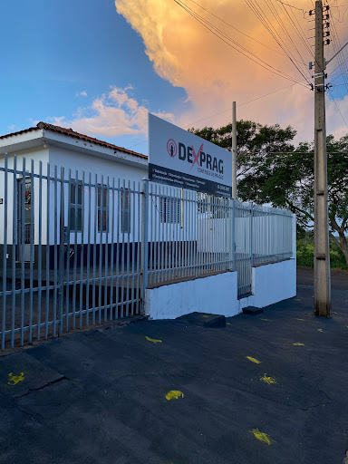 Dexprag Dedetização e Controle de Pragas