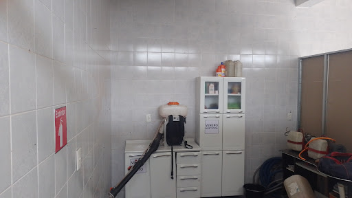 dedemax