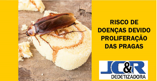 JC&R Dedetizadora e serviços