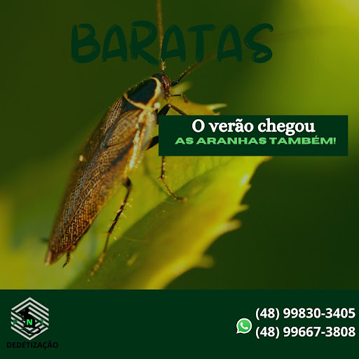 PNT Dedetização