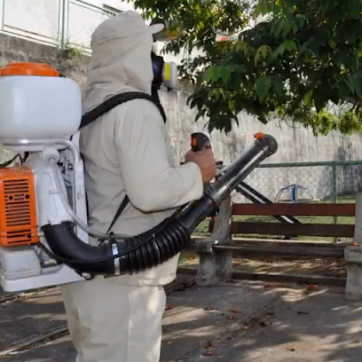 AJP Controle de Pragas - Desinsetização e Fumacê - Dedetizadora na Serra e Grande Vitória