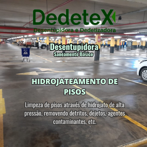 Dedetex Desentupidora e Dedetizadora