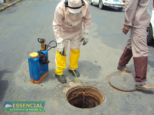 Essencial Controle de Pragas