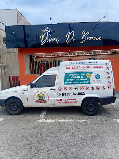 Detetizan Mogi Guaçu - Dedetizadora e Desentupidora