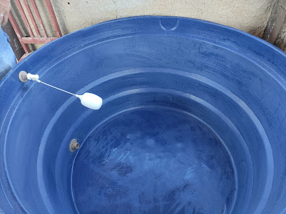 1001 Saúde Ambiental