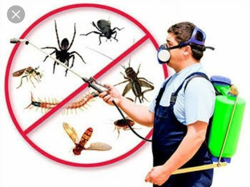 RATEYA - Dedetização e Serviços