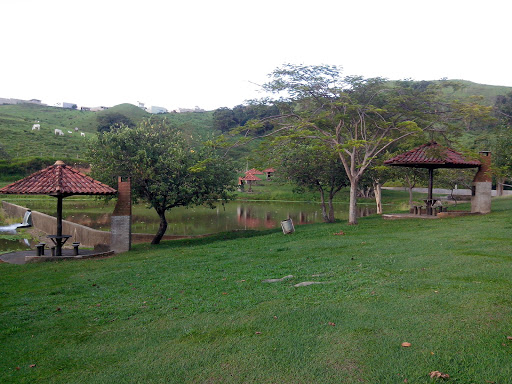 Bio Dinâmica