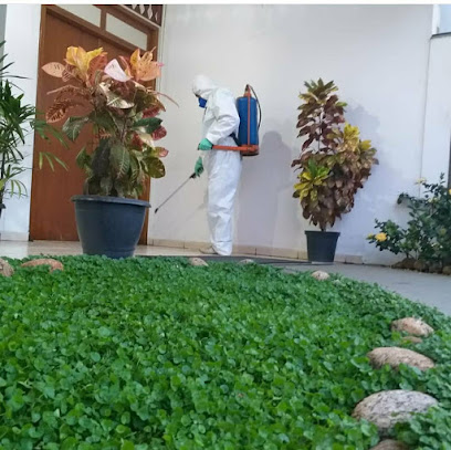 Ecológica Dedetizadora