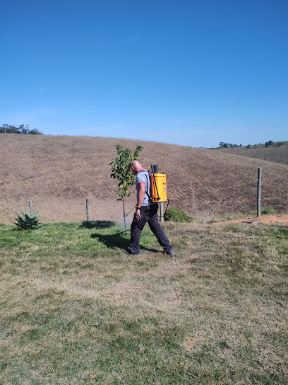 Dedetizadora Capixaba