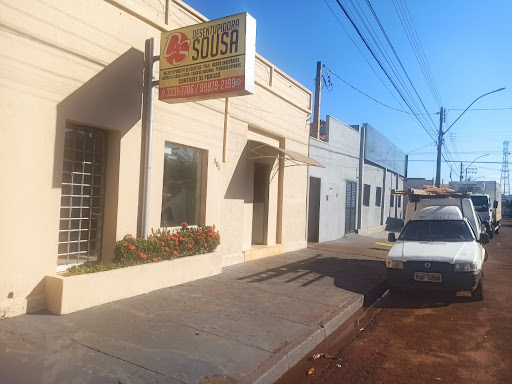 Dedetizadora e Desentupidora Sousa
