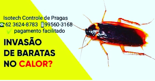 Isotech Controle de Pragas