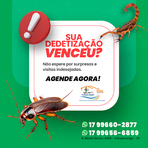 DEDETIZADORA ALMEIDA PRAGAS