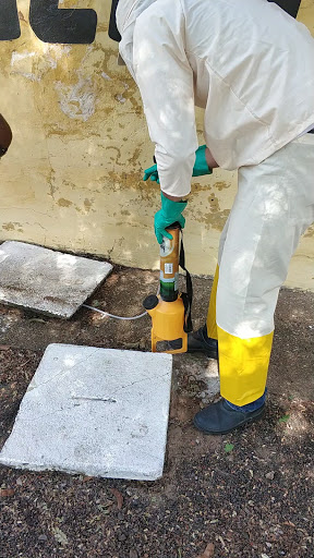 DEDETIZADORA CLEAN
