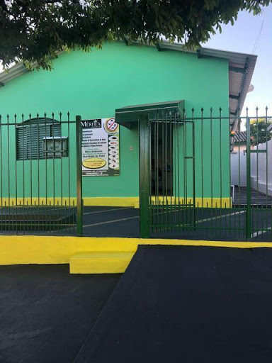 Dedetizadora Meritta Ambiental