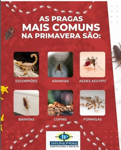 Imuneprag Dedetizadora E Serviços