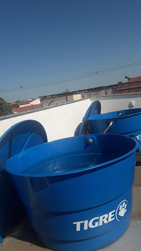 Expansão Dedetizadora e Desentupidora