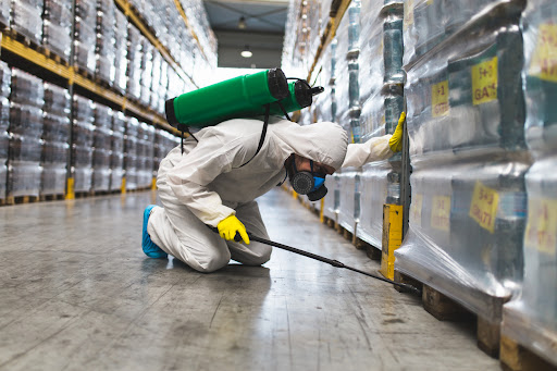 Higiservis Dedetizadora - Santa Luzia