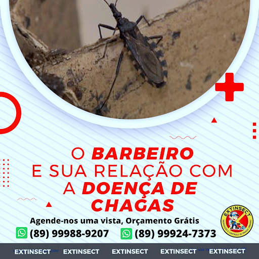 Extinsect - Controle de Pragas & desinsetização