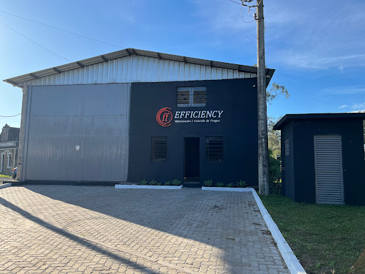 Efficiency Higienizações