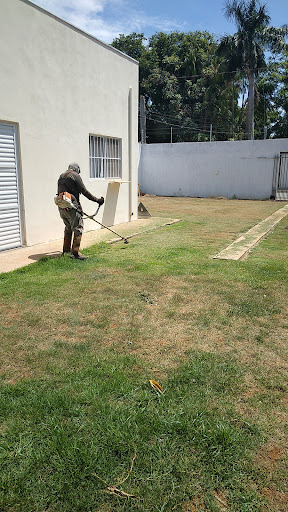 Delta dedetizadora e jardinagem