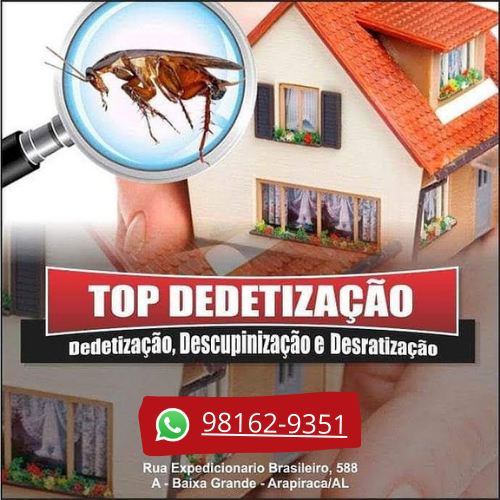 Top Dedetização