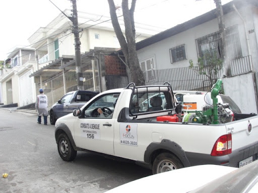EcoFocus Controle de Pragas Urbanas