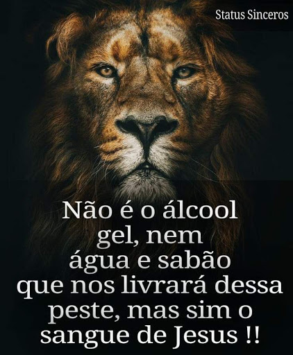 Dedetizadora ro