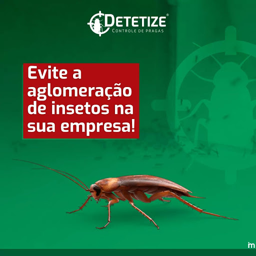 Detetize -Desinsetização, Controle de Pragas, Descupinização , Desratização, Sanitização, Limpeza Caixas d' Água