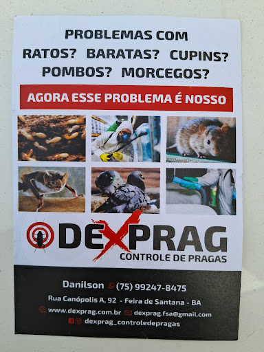 DEDETIZADORA FEIRA DEXPRAG