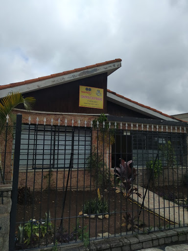 Truly Nolen Alto Tietê