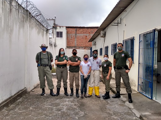 DEDETIZADORA AGEATEC