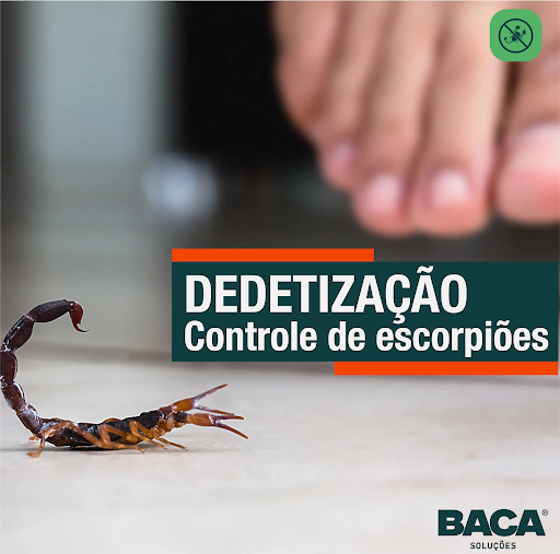 Baca Soluções - Dedetizadora