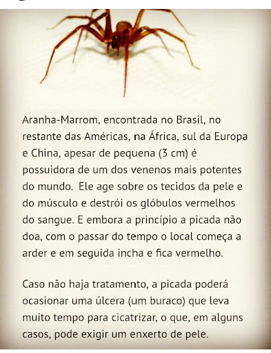 Dedetizadora E Prestadora De Serviços Efikaz