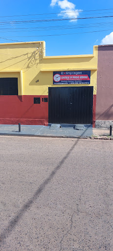 Extinpragas dedetizadora
