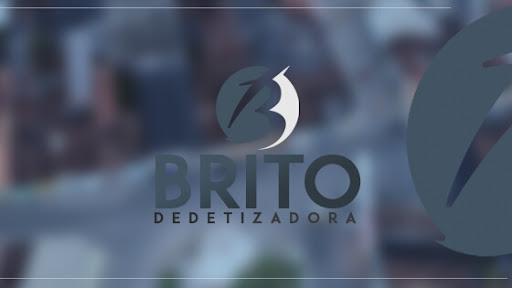BRITO DEDETIZADORA LTDA