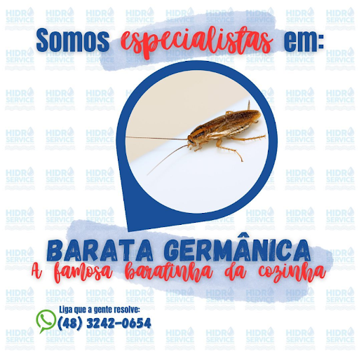 Hidro Service Dedetização