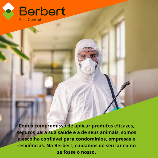 DEDETIZADORA BERBERT