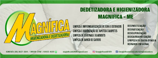 Magnifica Dedetizadora e Higienizadora (Lava sofá a seco)