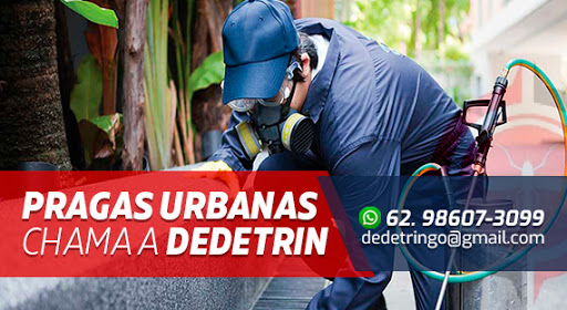 Dedetrin Dedetizadora e Prestadora de Serviços
