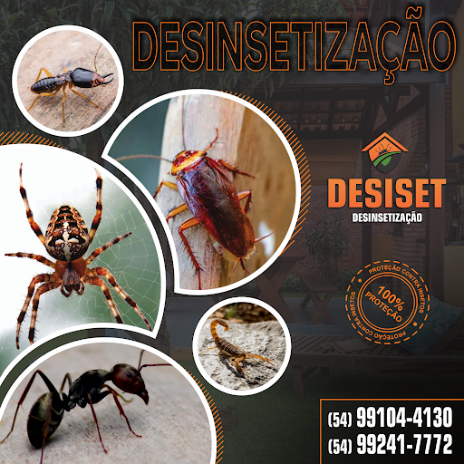 DESISET DESINSETIZAÇÃO