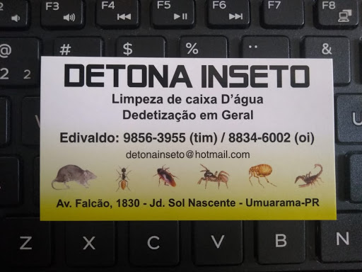Detona Inseto