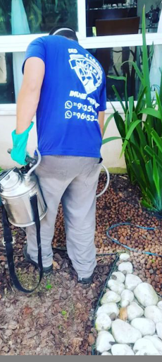 Dedetizadora Imune service