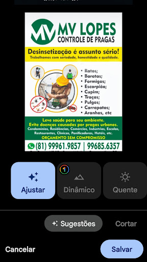 MV LOPES dedetizações