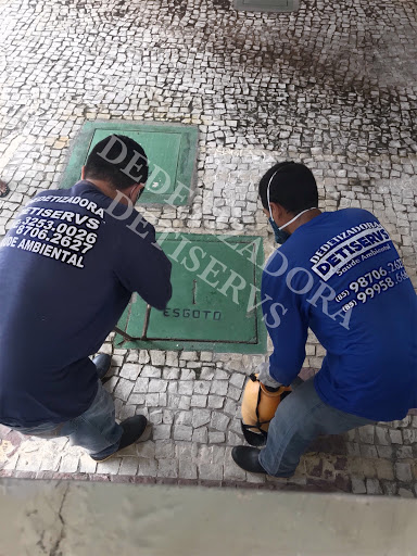 Dedetizadora Detiservs