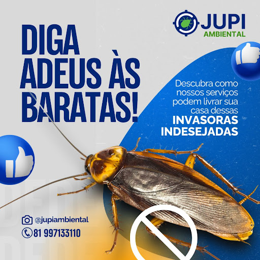 Jupi Serviços Ambientais