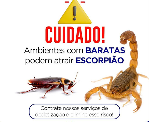 ALFFA DEDETIZADORA