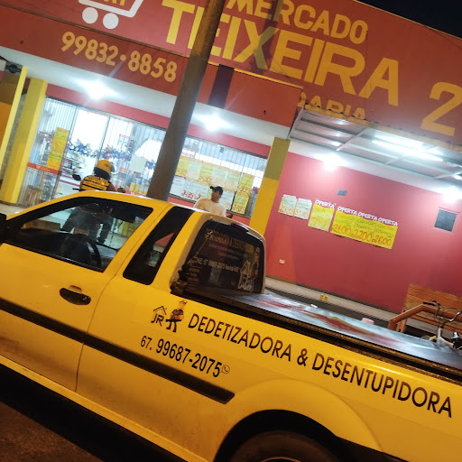Dedetizadora e Desentupidora -JR